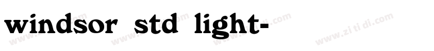 windsor std light字体转换